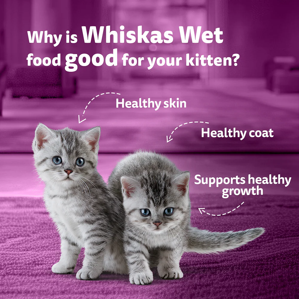 Whiskas Kitten Tasty Mix Wet Food Combo |Chicken, Tuna, Seafood & Salmon - Image 31