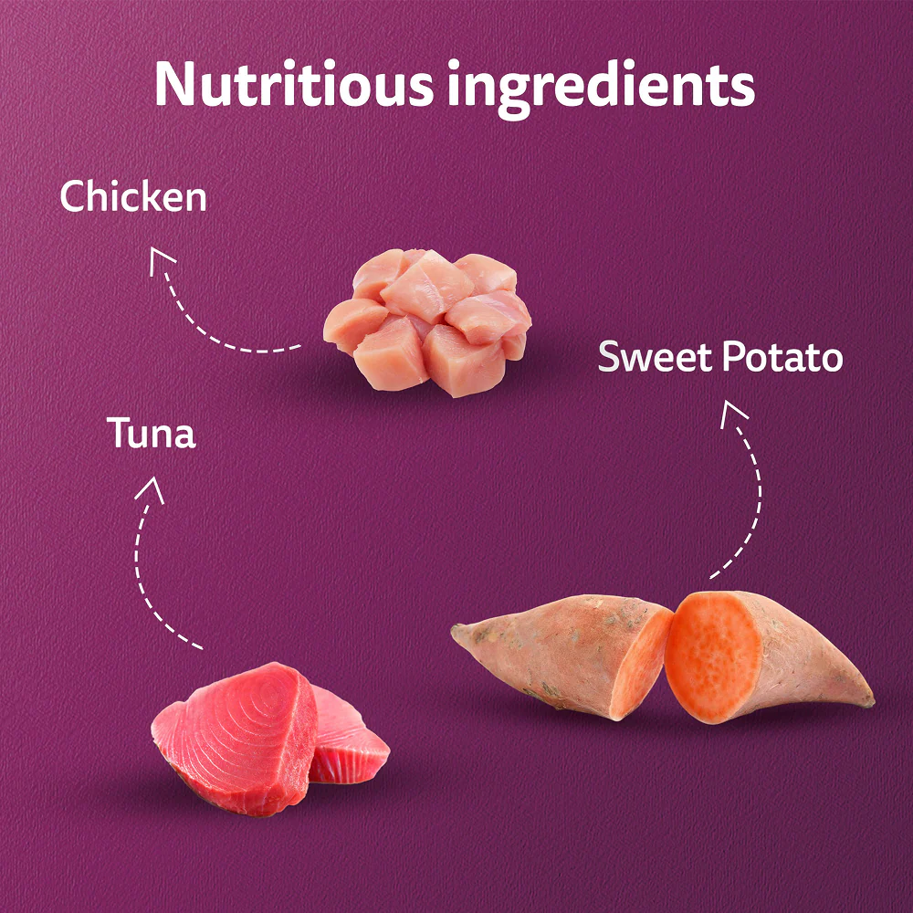 Whiskas Kitten Tasty Mix Wet Food Combo |Chicken, Tuna, Seafood & Salmon - Image 5