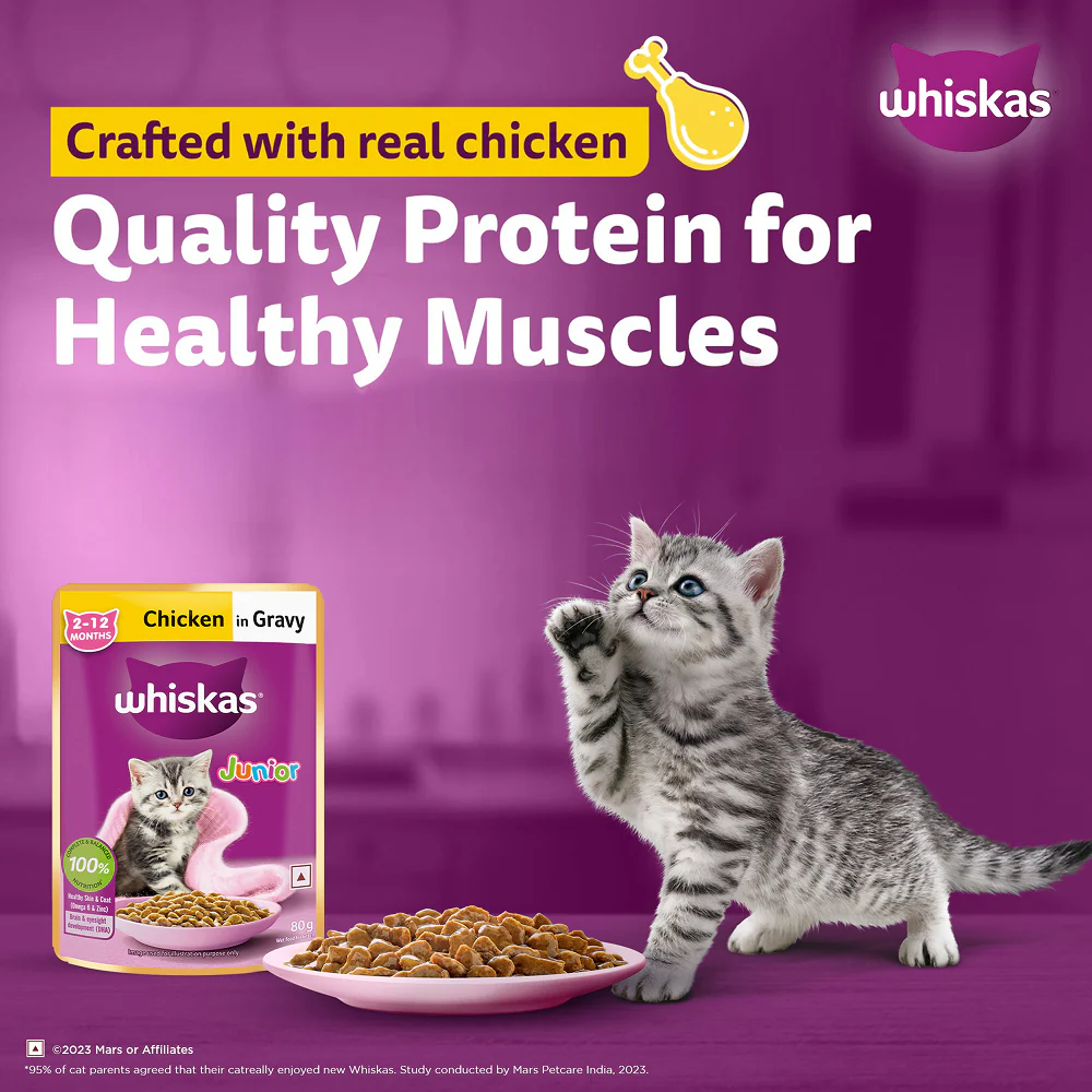 Whiskas Kitten Wet Food Value Combo |Chicken, Tuna & Mackerel - Image 15