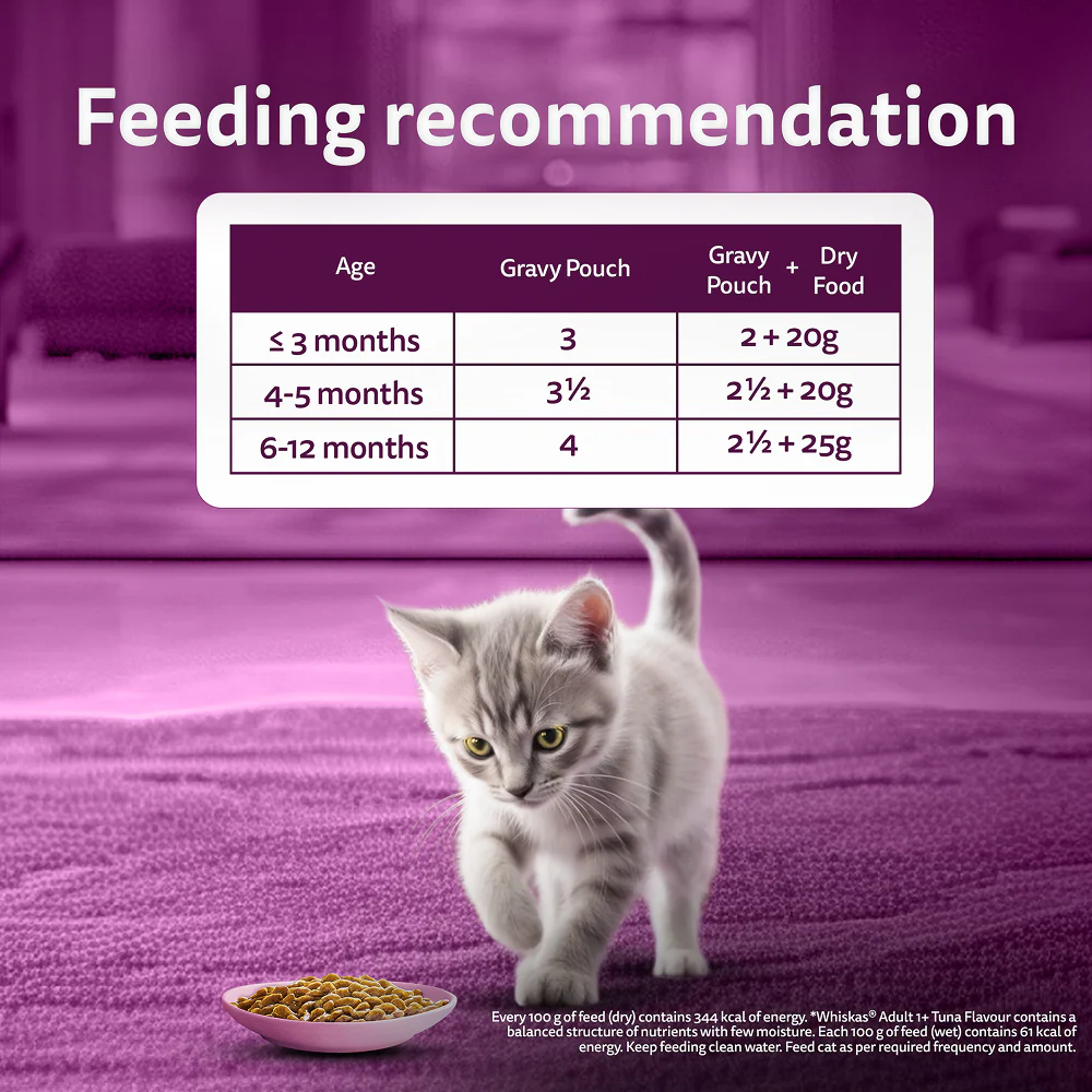 Whiskas Kitten Wet Food Value Combo |Chicken, Tuna & Mackerel - Image 18