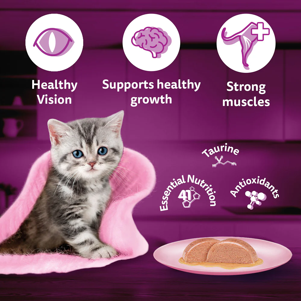 Whiskas Kitten Wet Food Value Combo |Chicken, Tuna & Mackerel - Image 21