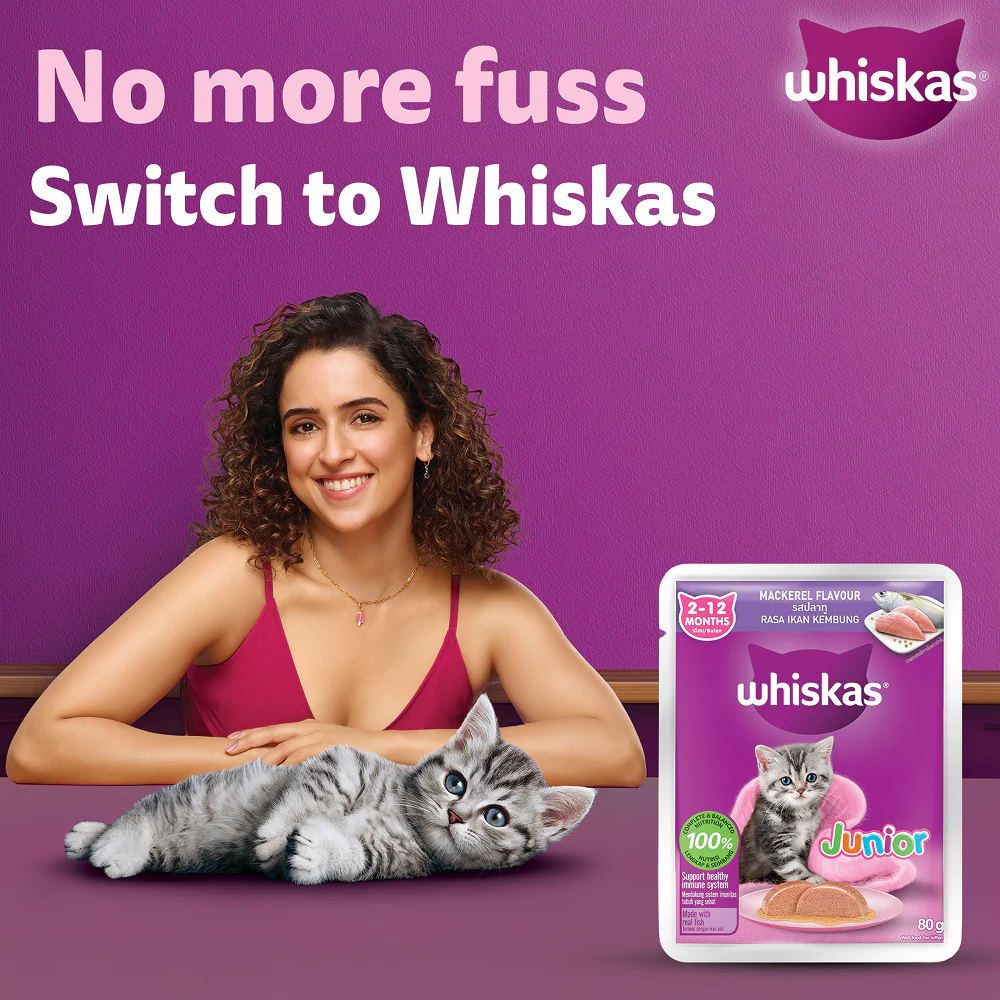 Whiskas Kitten Wet Food Value Combo |Chicken, Tuna & Mackerel - Image 25