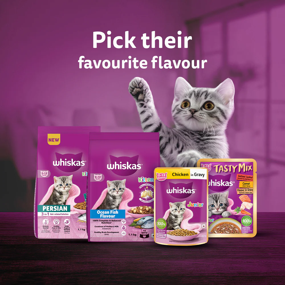Whiskas Kitten Wet Food Value Combo |Chicken, Tuna & Mackerel - Image 30