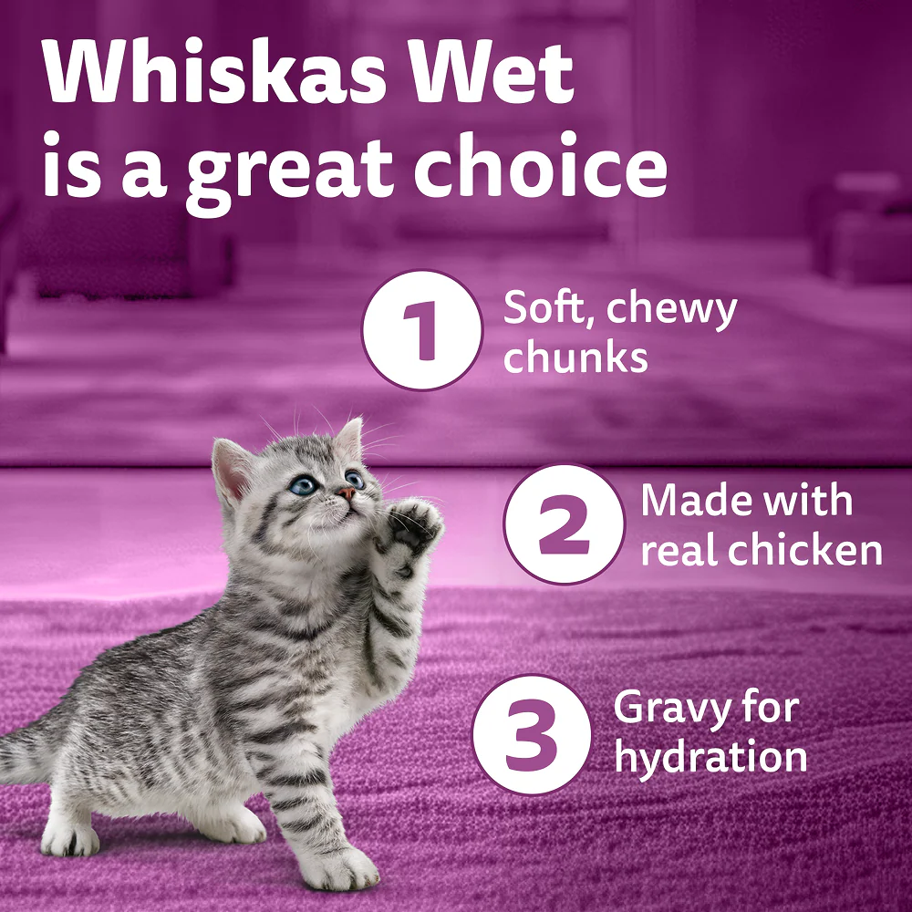 Whiskas Kitten Wet Food Value Combo |Chicken, Tuna & Mackerel - Image 4