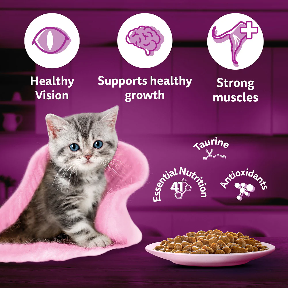 Whiskas Kitten Wet Food Value Combo |Chicken, Tuna & Mackerel - Image 5