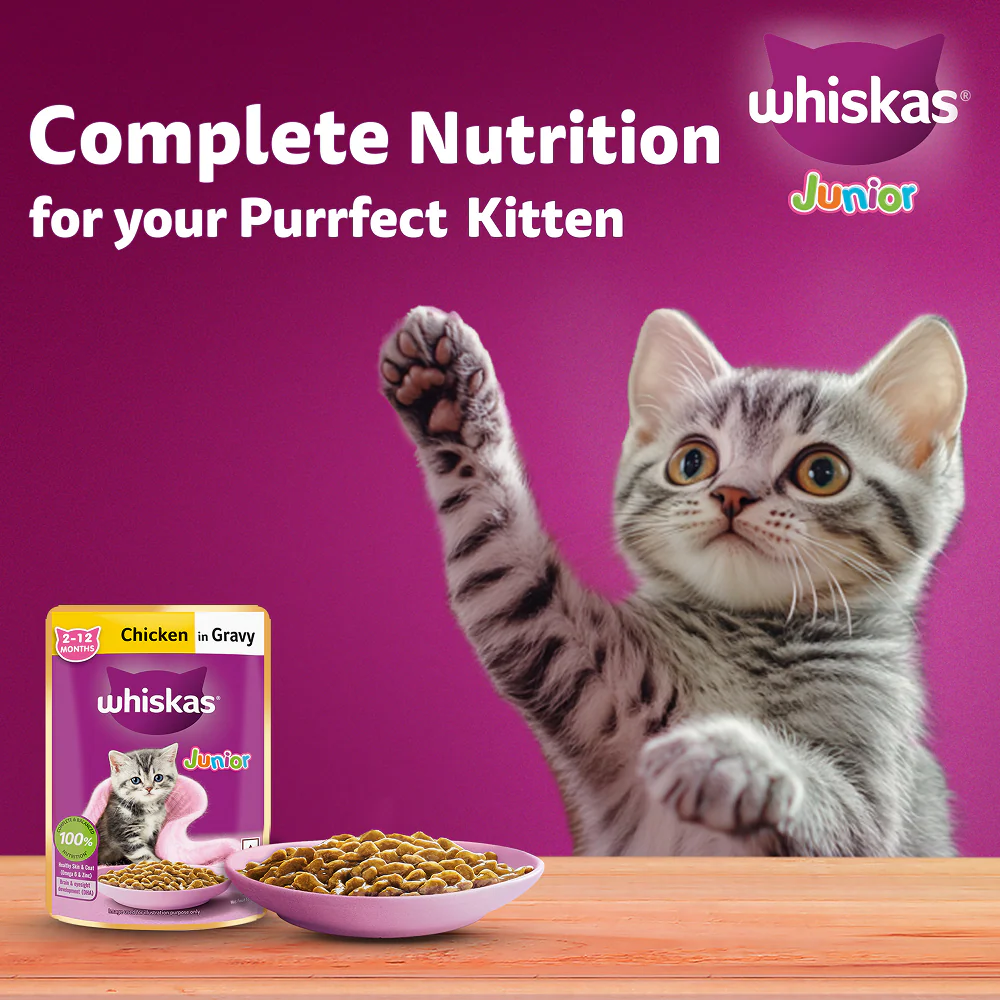 Whiskas Kitten Wet Food Value Combo |Chicken, Tuna & Mackerel - Image 7