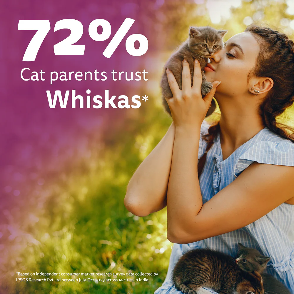 Whiskas Kitten Wet Food Value Combo |Chicken, Tuna & Mackerel - Image 9