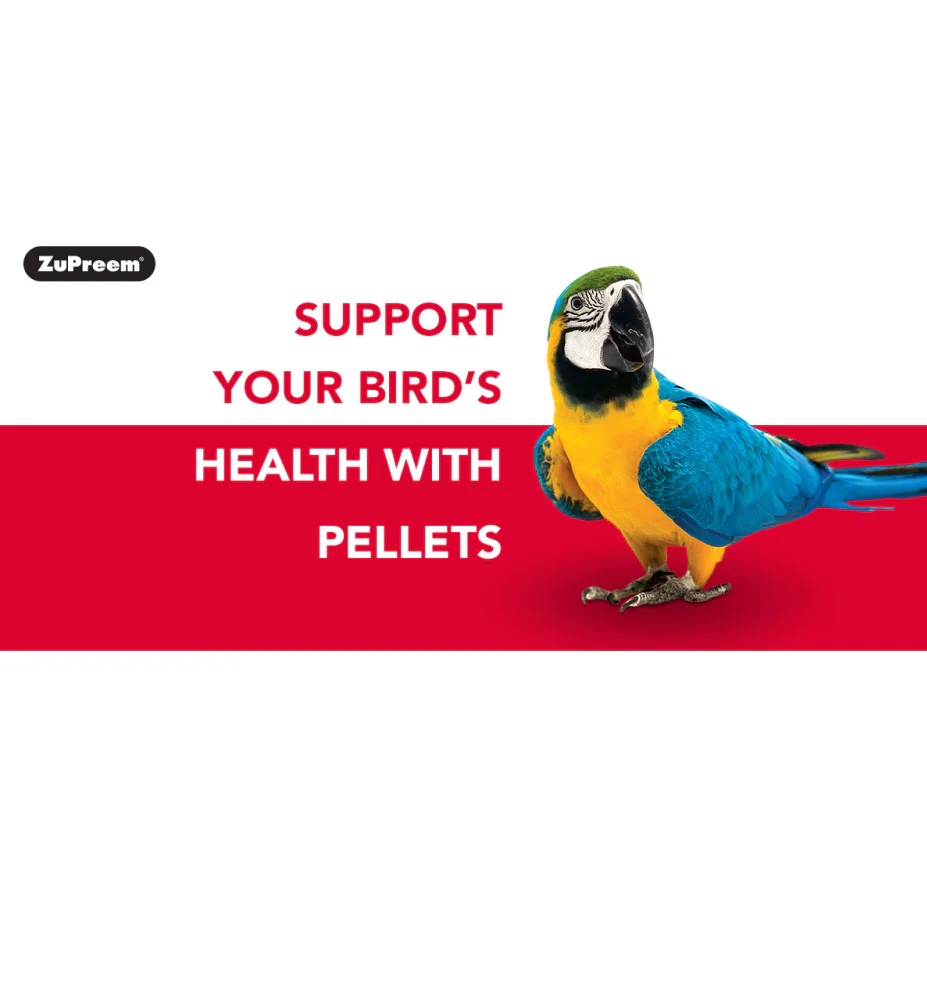 ZuPreem Fruit Blend and Versele Laga Prestige Bird Food for Large Birds and Parrorts - Image 3